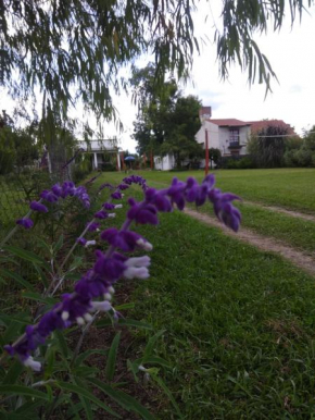 La Dulce Morada